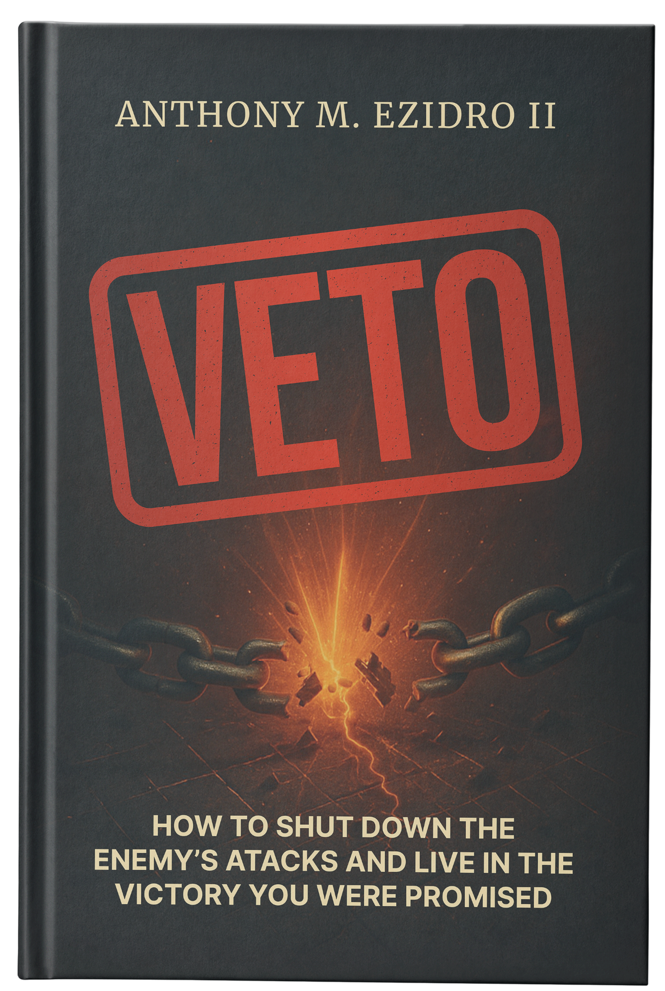 VETO Book Cover